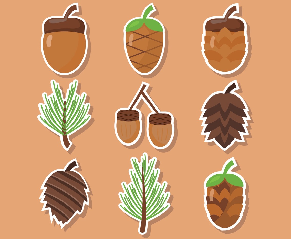 Pines Sticker Collections