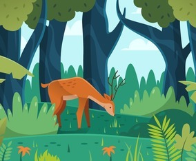 Deer in the Forest