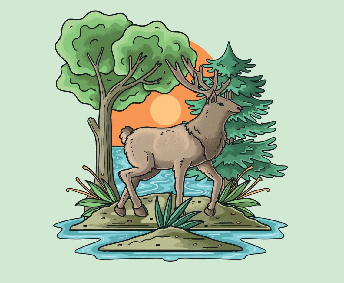 Beautiful Deer in Natural Forest
