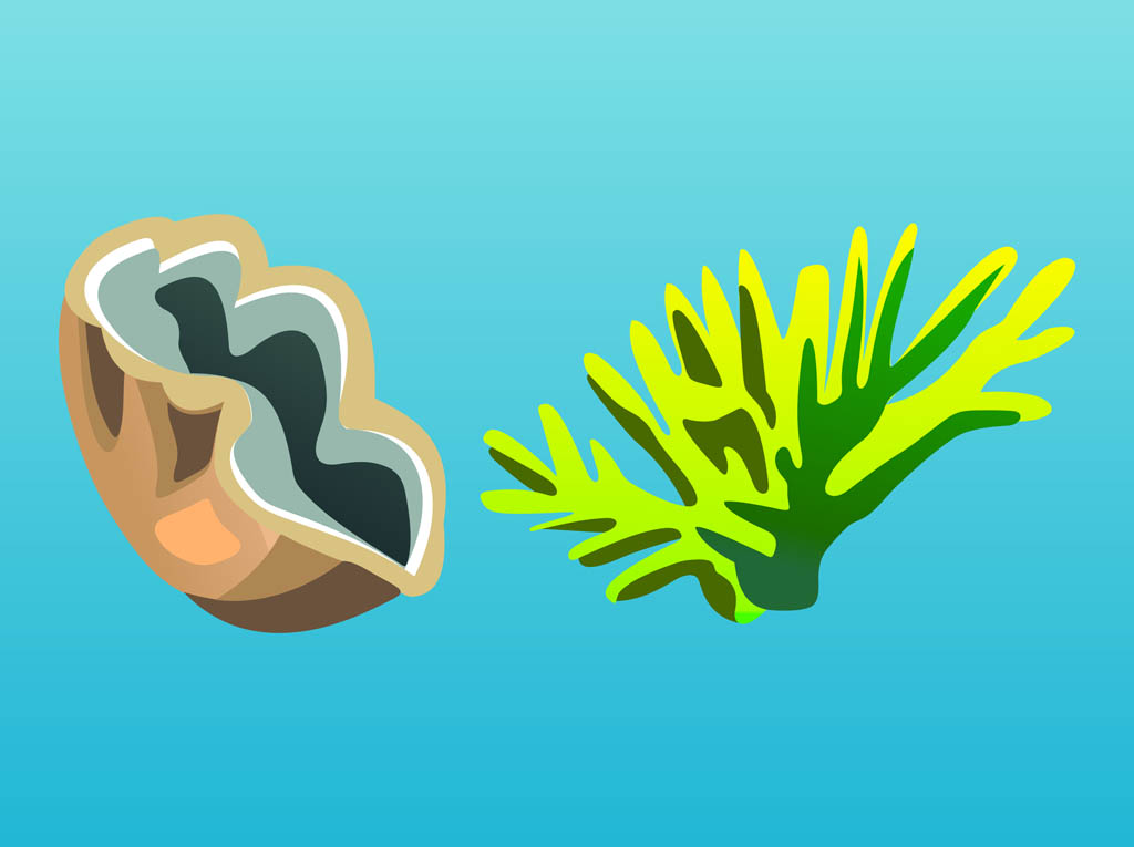 Sea Designs