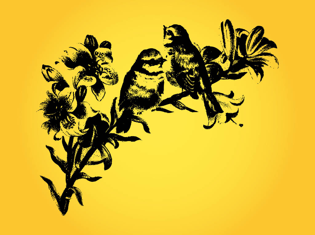 Vintage Birds Drawing
