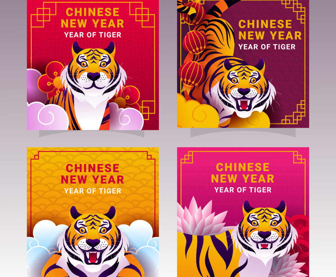 Year Of Tiger Social Media Concept