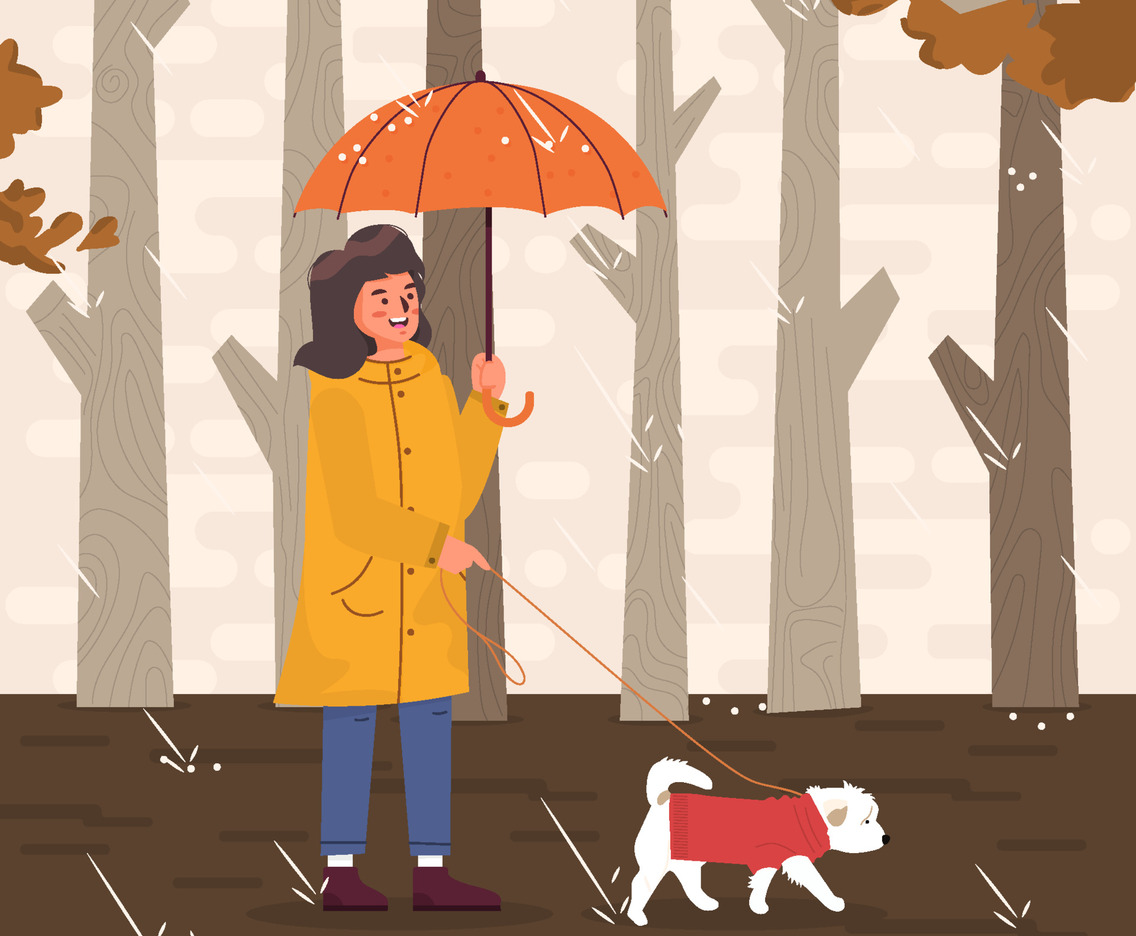 Woman And Her Dog In The Rain Forest