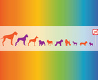 Vector Dogs Graphics