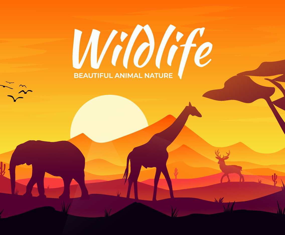 Background Wild Life Beautiful Nature Desert Camel