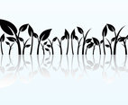 Reflected Plant Graphics