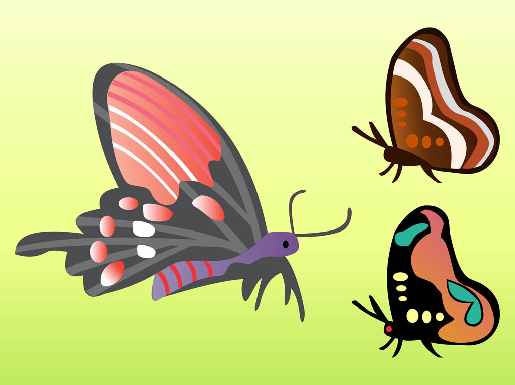 Butterfly Vectors