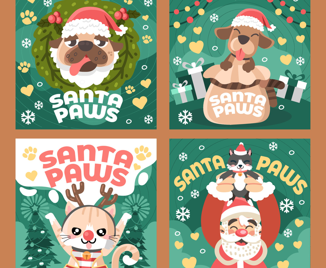 Cute Pet Adoption of Christmas