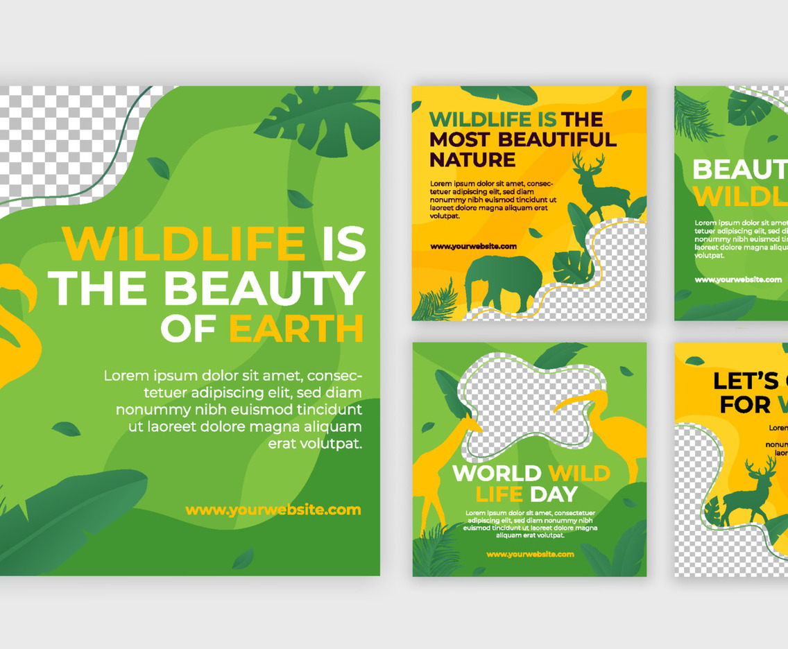 Collection of Social Media for Wild Life Awareness