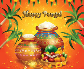 Happy Pongal Day Concept