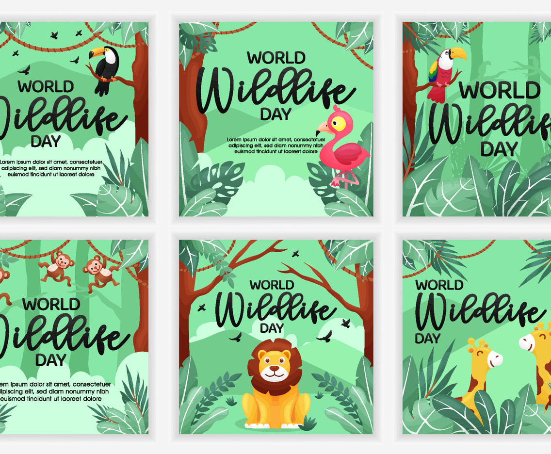 Wild Life Social Media Posts