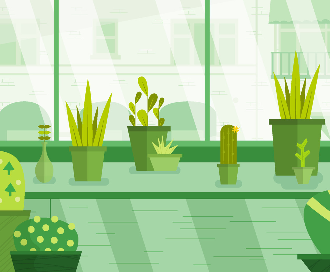 Succulent Plants On House Terrace Concept