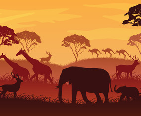 Wildlife Silhouette Background
