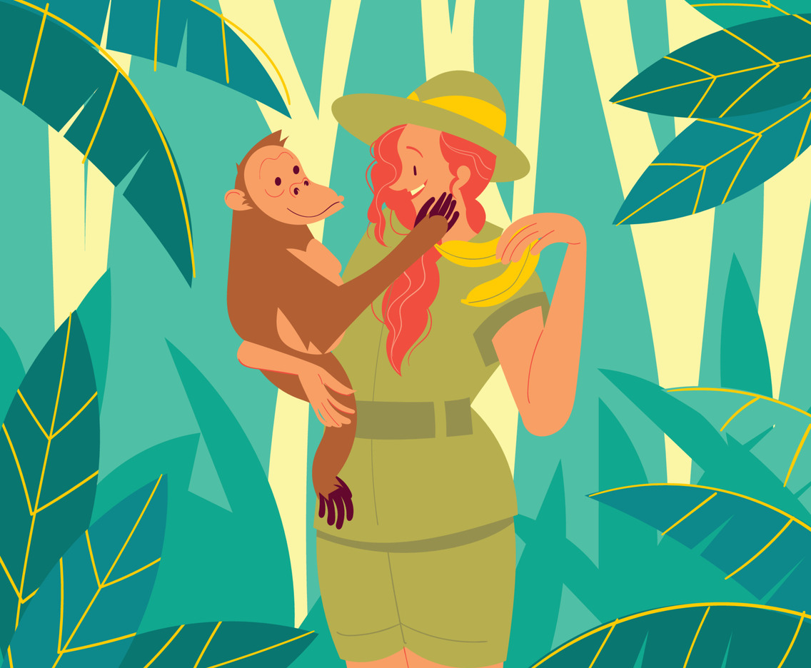 Zoo Keeper Woman Giving Bananas to Orangutan