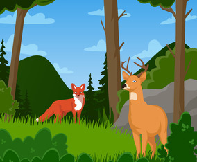 Wildlife in The Woods Concept