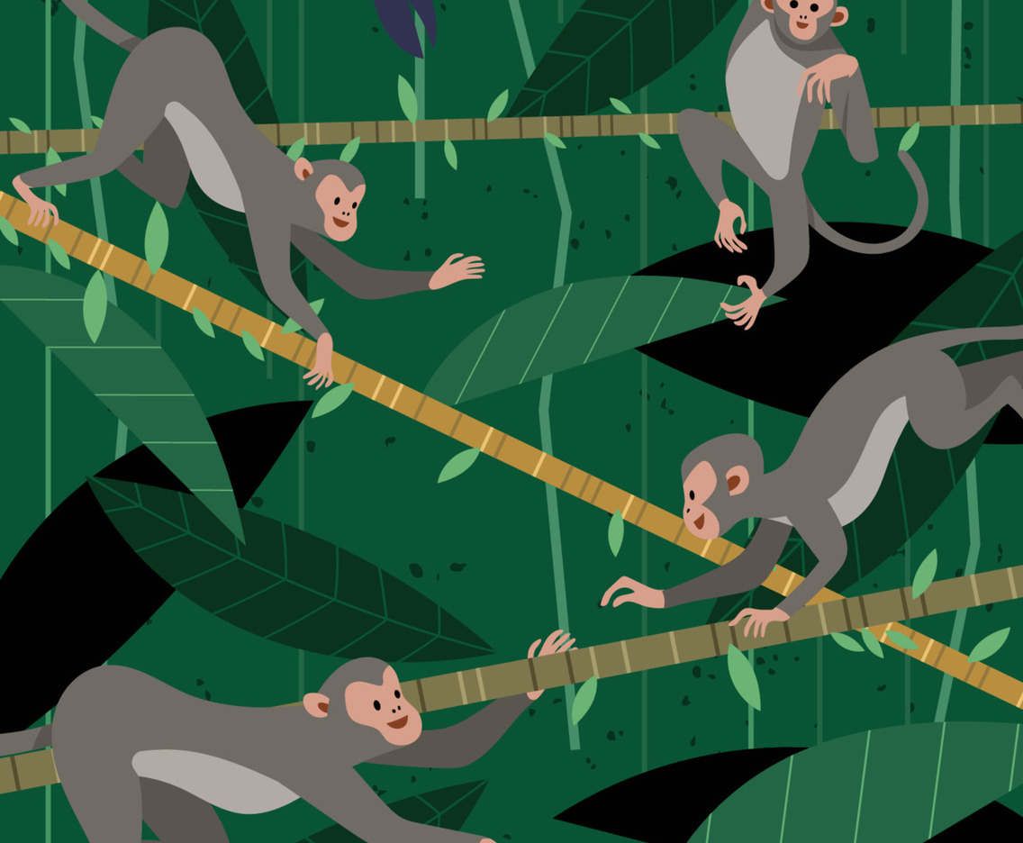 Wildlife in the Jungle