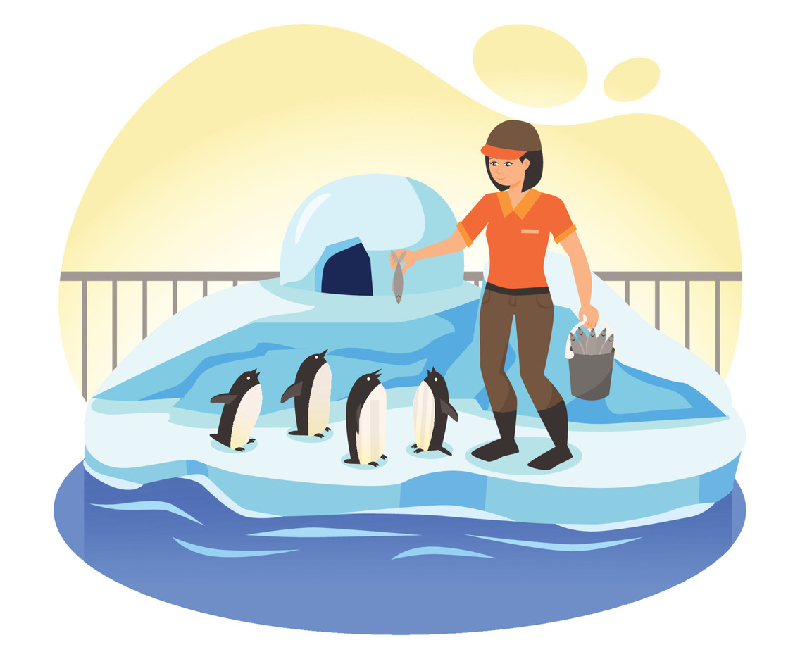 Zookeeper Feeding Penguins