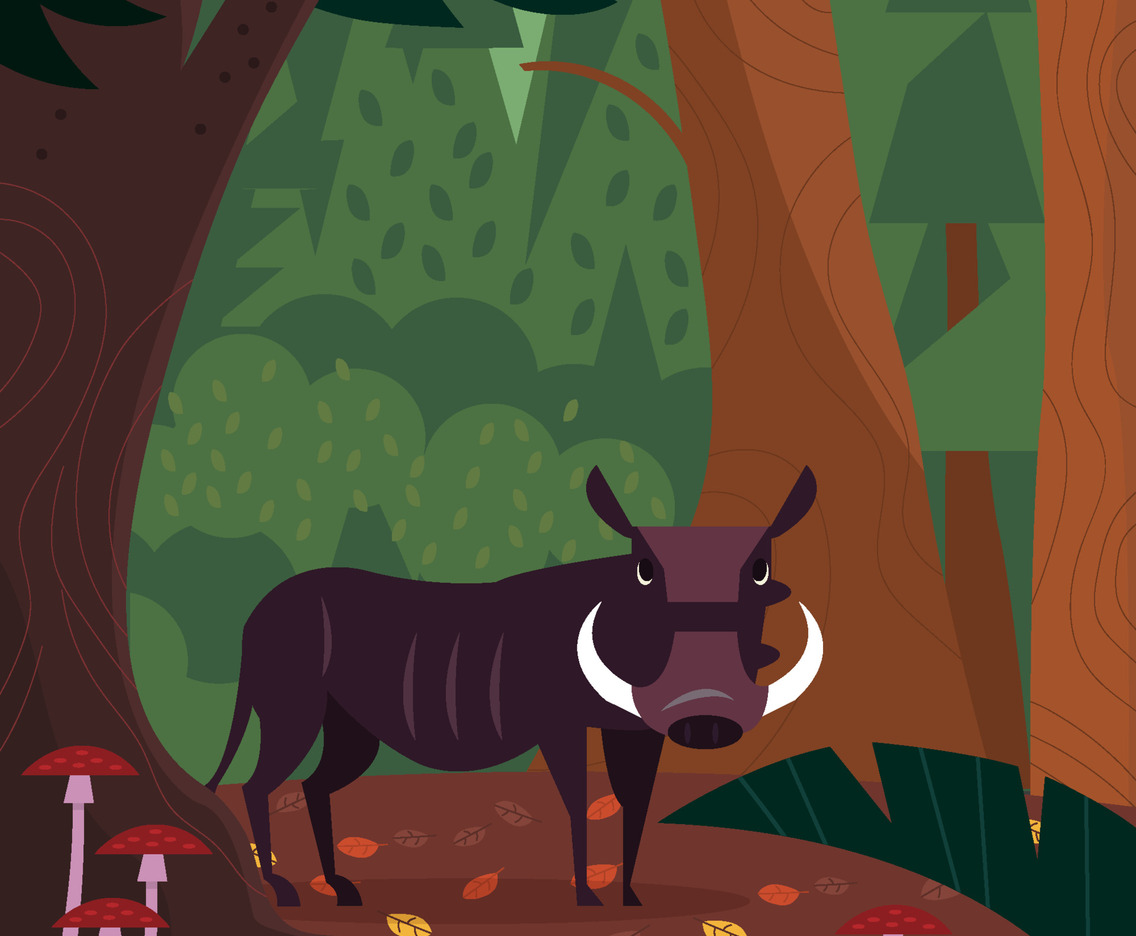 Wild Boar In The Middle Of Forest Concept