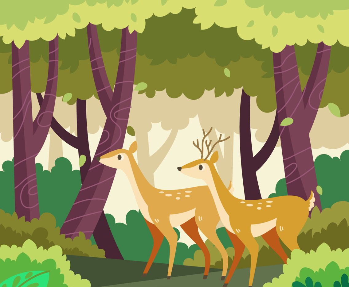 Tropical Forest and Animals Concept