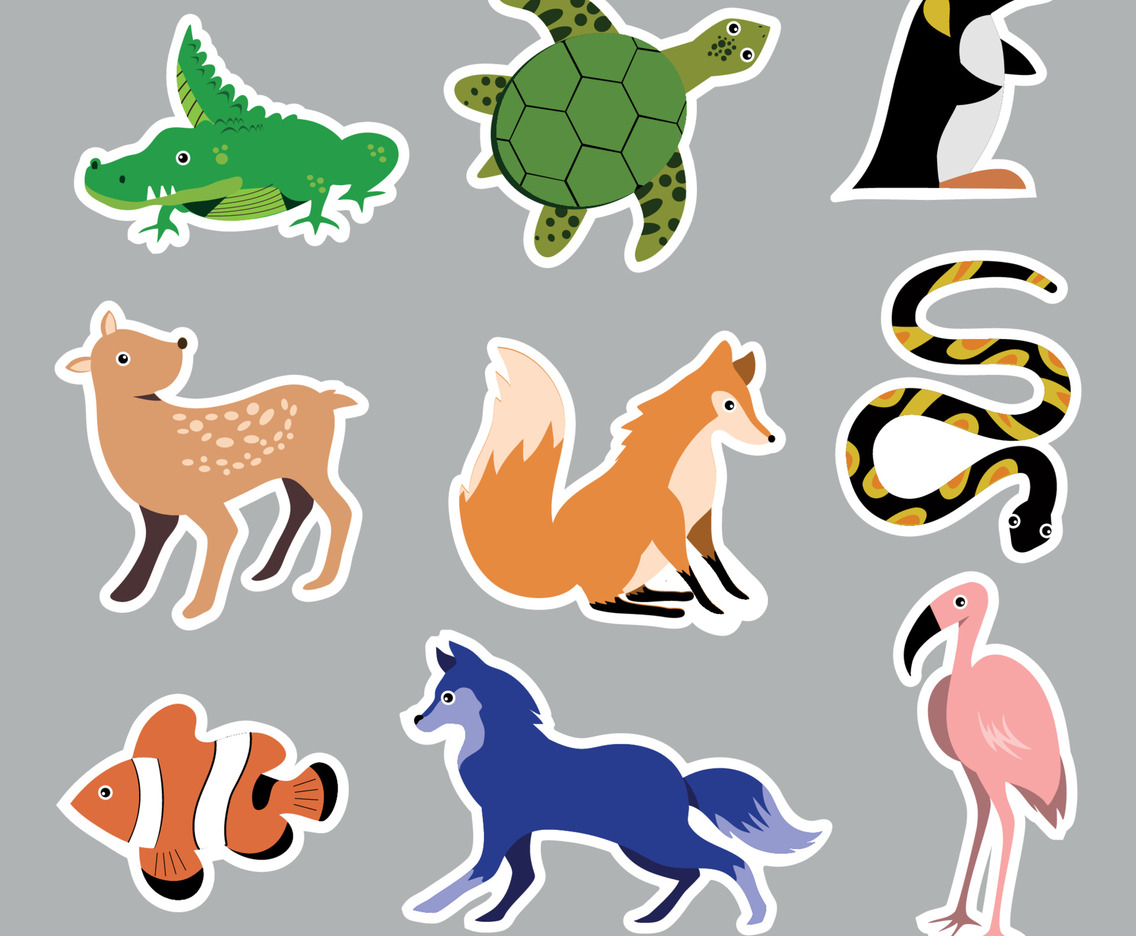 Wildlife Scenery Background