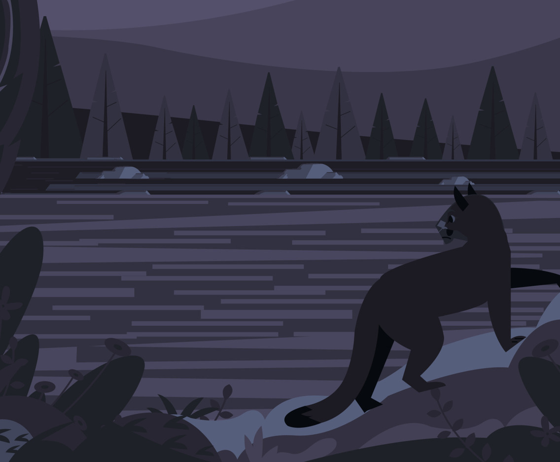 Tiger Out Of The Dark Gaze River Background