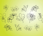 Vector Flower Illustrations