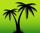 Exotic Palms