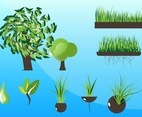 Plants Graphics Vectors