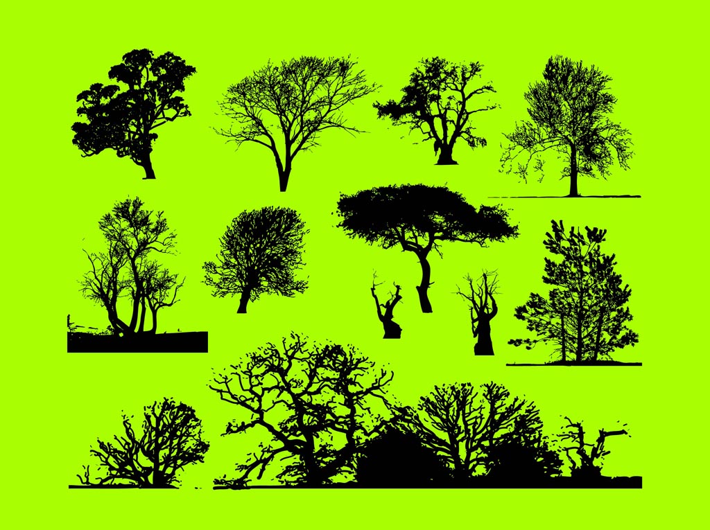 Trees Graphics