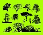 Trees Graphics