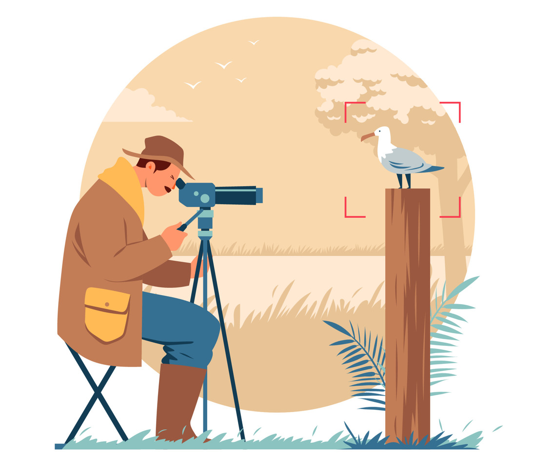 Bird Watcher Concept