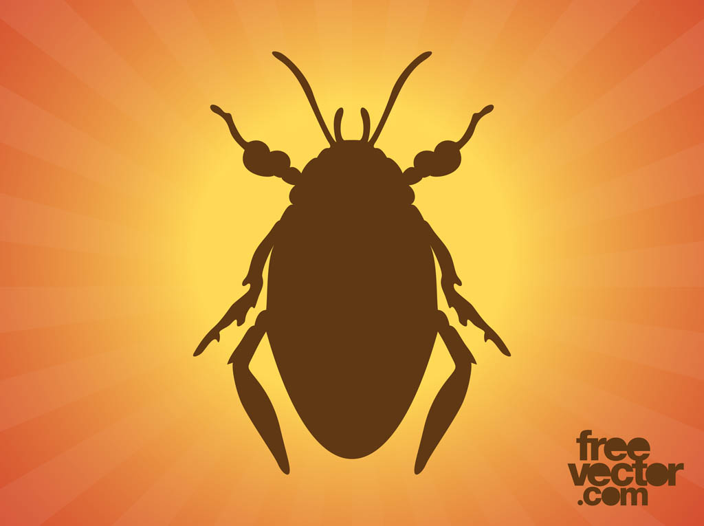 Beetle Silhouette Graphics