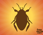 Beetle Silhouette Graphics
