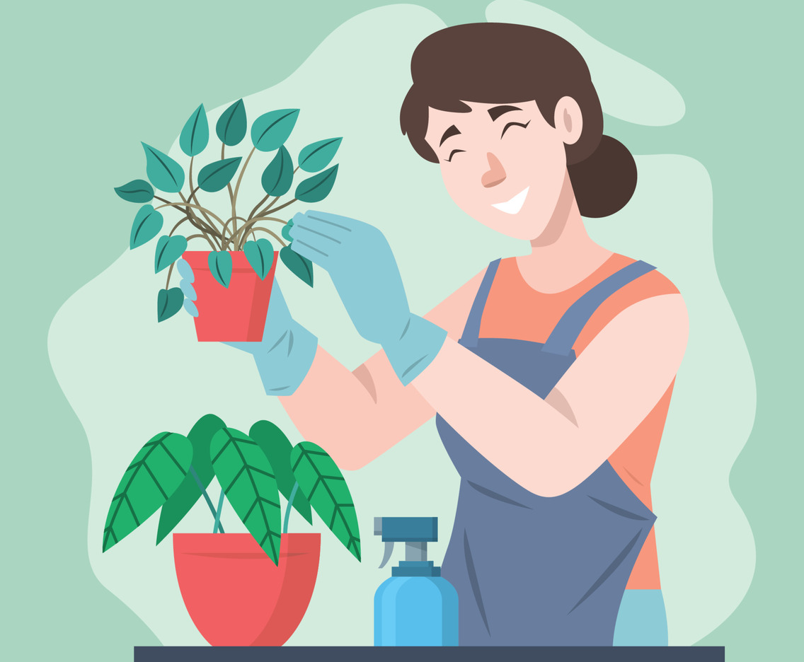 Woman Caring For The Plants