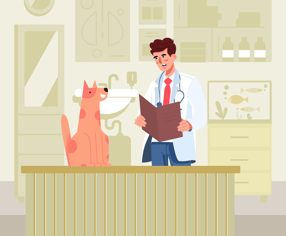 Veterinary Reading Dog Medical Record Concept
