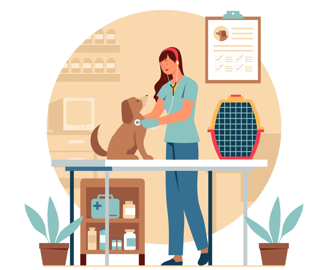 Female Veterinarian Diagnosing a Dog