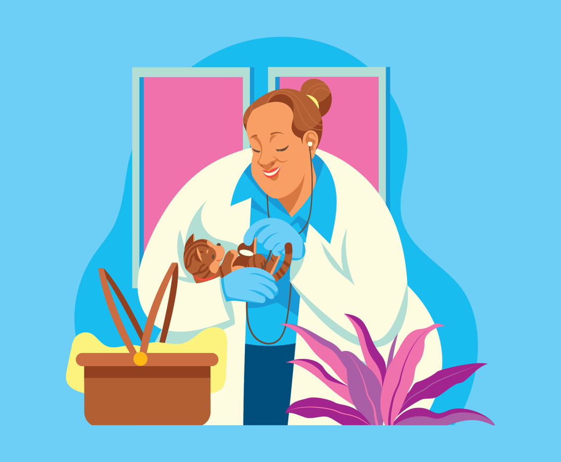 Pet Doctor Nursing A Cat