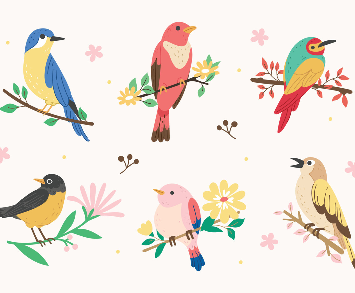 Set of Spring Birds on the Branches