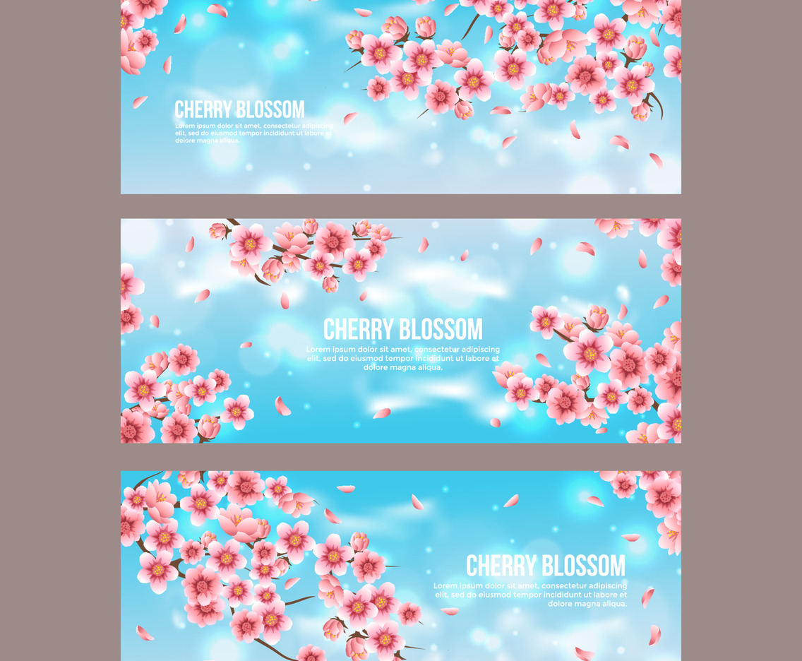 Cherry Blossom Banner Template