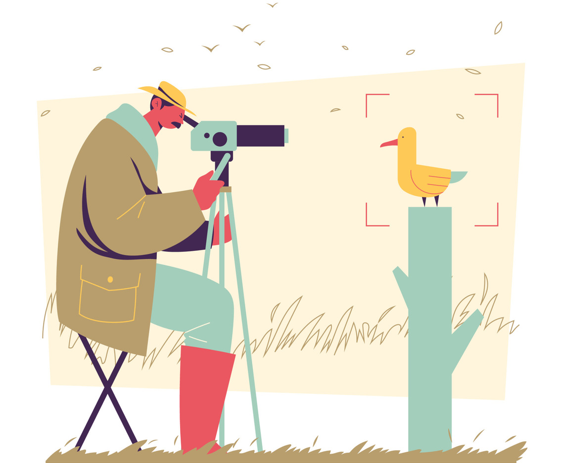 Bird Watcher Concept