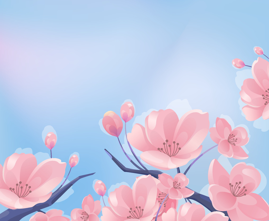 Cherry Blossom Background