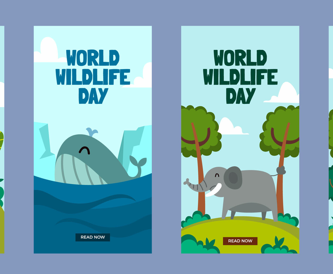 Social Media Story Post for Wildlife Day