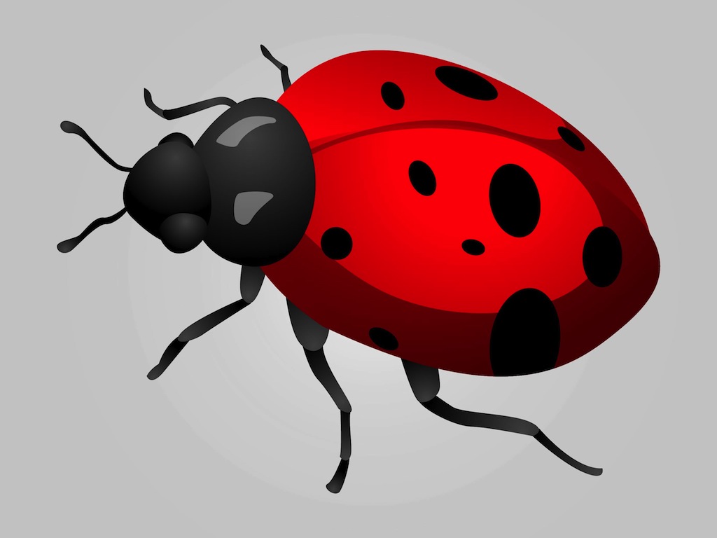 Ladybird Graphics