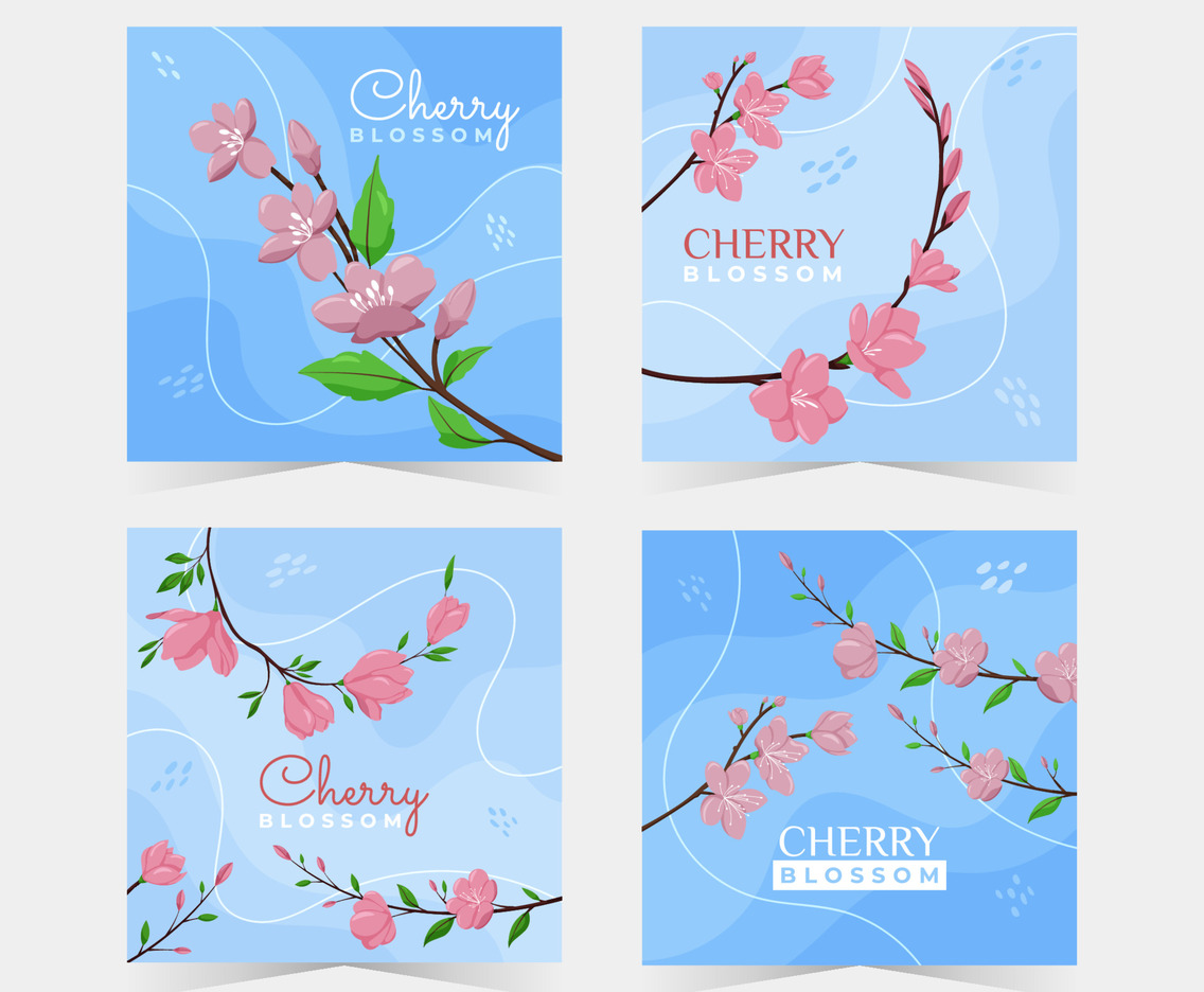 Spring Cherry Blossom Social Media Post