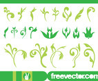 Floral Ornaments Graphics Set