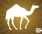 Walking Camel Silhouette