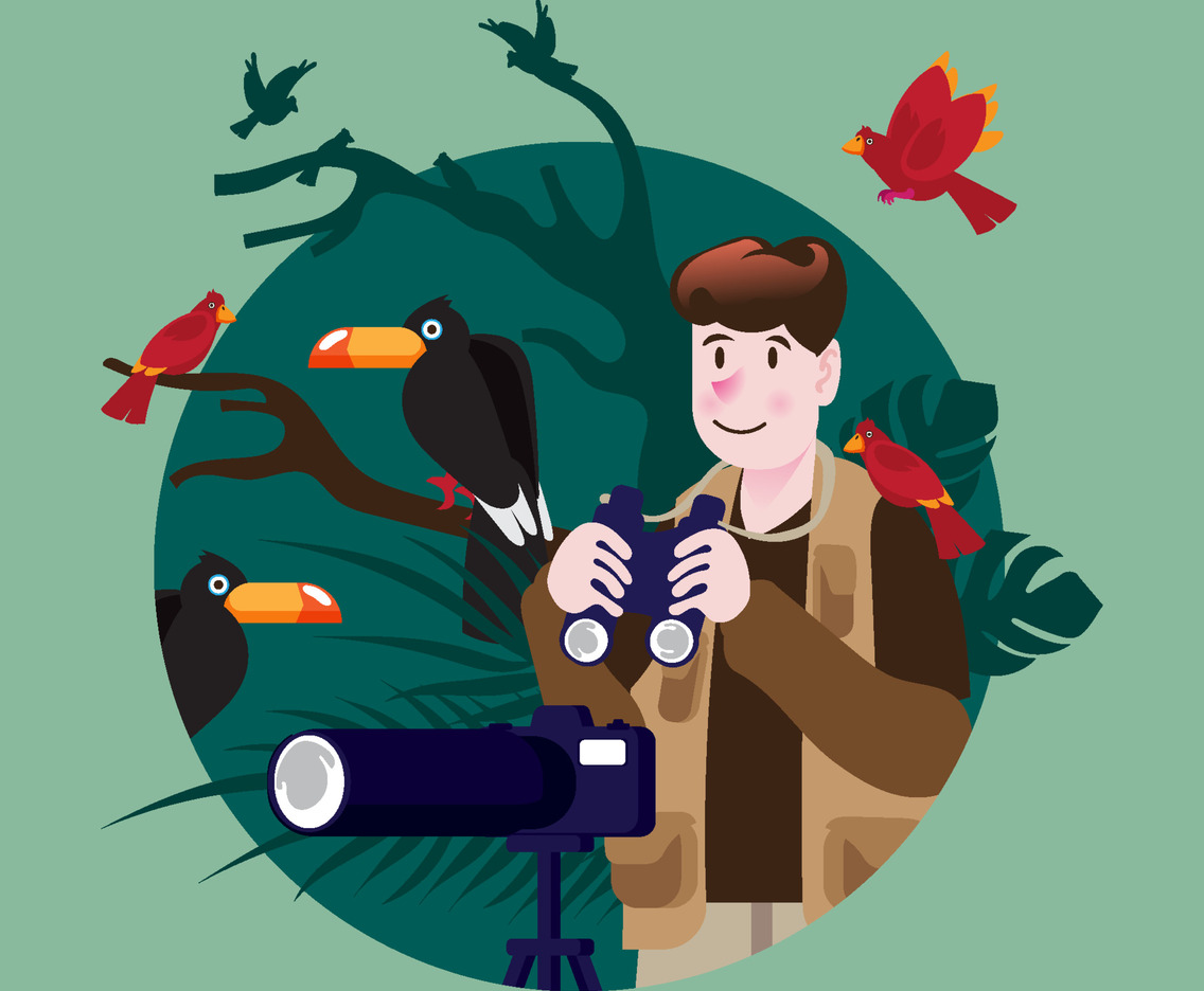 Bird Watcher Concept