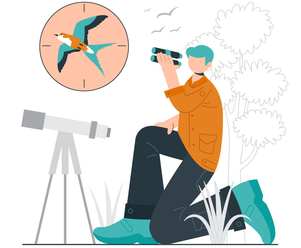 Bird Watcher Concept