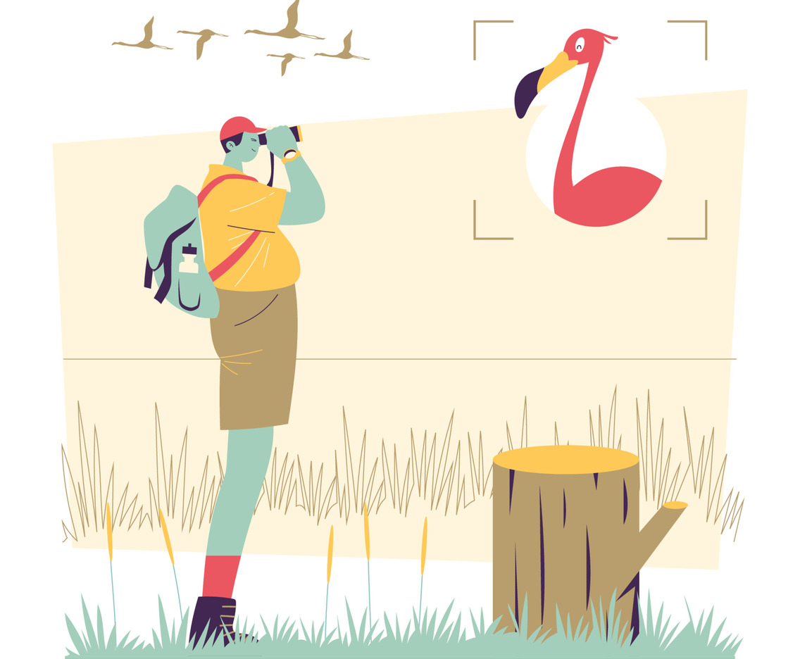 Bird Watcher Investigating Birds Concept