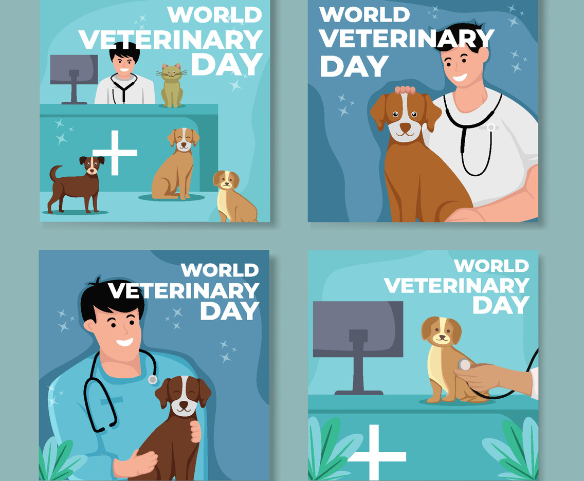 World Vetenarians Day Social Media Template